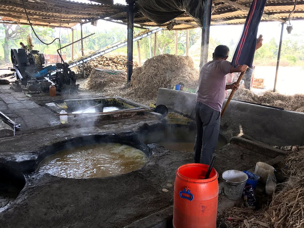 Palm Sugar Blocks 500g